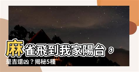 麻雀飛到陽台|【麻雀飛到陽台】麻雀飛到我家陽台，是吉還兇？揭秘5種鳥飛入。